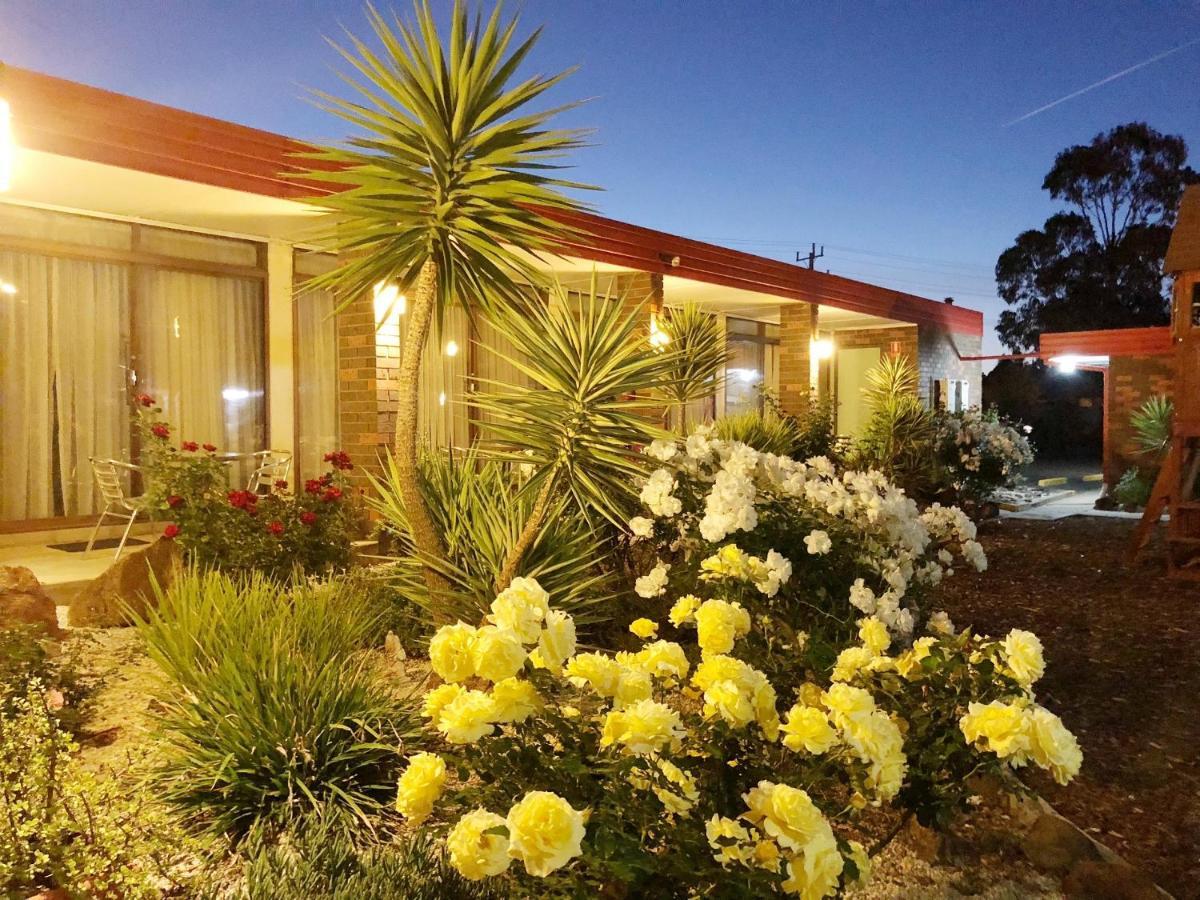אראראט Statesman Motor Inn מראה חיצוני תמונה