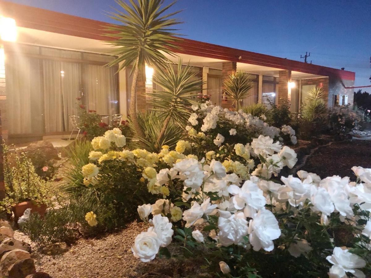 אראראט Statesman Motor Inn מראה חיצוני תמונה